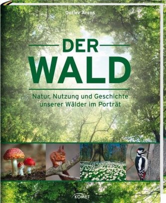 Der Wald