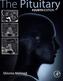 The Pituitary
