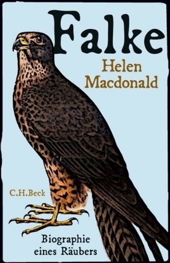 Falke