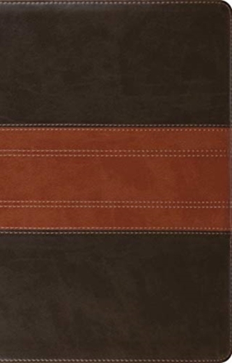 ESV Large Print Thinline Reference Bible