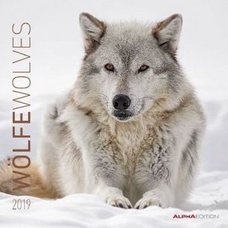 Wölfe 2019