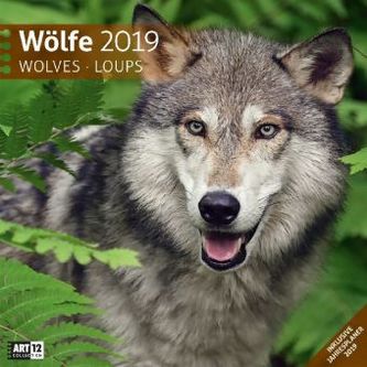Wölfe 2019