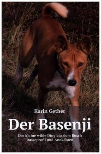 Der Basenji