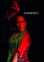 Flamenco 2019