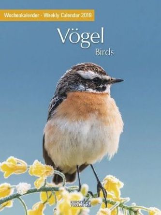 Vögel 2019