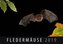 Fledermäuse 2019