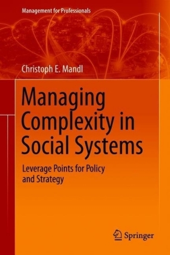Managing Complexity in Social Systems