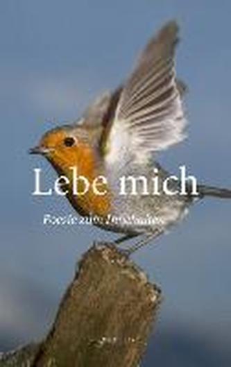 Lebe mich