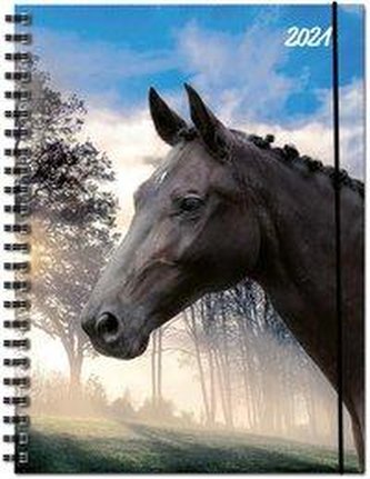 Terminplaner Pferd 2021