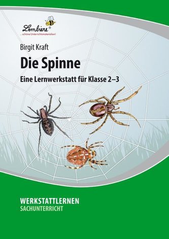 Die Spinne (PR)