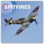 Spitfires 2021