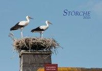 Störche 2021 - Format L