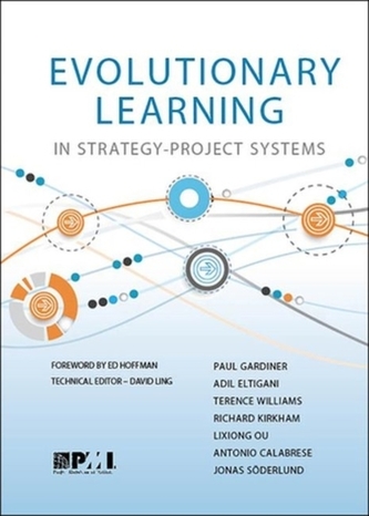 Evolutionary Learning in Strategy-Project Systems