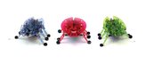 HEXBUG Beetle