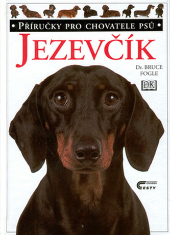 Jezevčík
