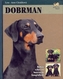 Dobrman