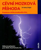 Cévní mozková příhoda