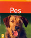 Pes