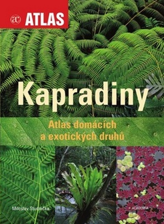 Kapradiny